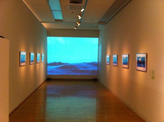 An Installation View of Yamashiro Chikako’s Seaweed Woman, Video and Photographs